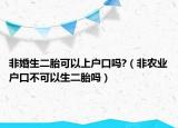 非婚生二胎可以上户口吗?（非农业户口不可以生二胎吗）