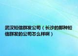 武汉短信群发公司（长沙的那种短信群发的公司怎么样啊）