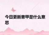 今日更新意甲是什么意思