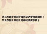 怎么在网上查询上海移动话费余额明细（怎么在网上查询上海移动话费余额）