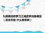 九阴真经修罗刀江湖武学兑换哪里（还未开放 什么意思啊）