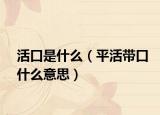 活口是什么（平活带口什么意思）
