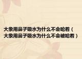 大象用鼻子吸水为什么不会呛着（大象用鼻子吸水为什么不会被呛着）