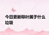 今日更新粽叶属于什么垃圾
