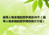 描写人物表情的四字词语30个（描写人物表情的四字词语简介介绍）