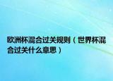 欧洲杯混合过关规则（世界杯混合过关什么意思）