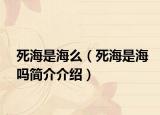 死海是海么（死海是海吗简介介绍）