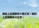 镜检上皮细胞多少是正常（镜检上皮细胞多少正常）