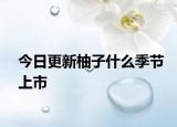 今日更新柚子什么季节上市