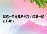洋瓜一般在几月份种（洋瓜一般在几月）