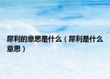 犀利的意思是什么（犀利是什么意思）
