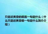 只是近黄昏的前面一句是什么（什么只是近黄昏前一句是什么简介介绍）