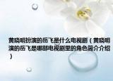 黄晓明扮演的岳飞是什么电视剧（黄晓明演的岳飞是哪部电视剧里的角色简介介绍）
