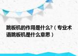 跳板机的作用是什么?（专业术语跳板机是什么意思）