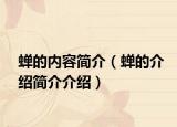 蝉的内容简介（蝉的介绍简介介绍）