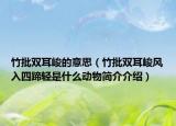 竹批双耳峻的意思（竹批双耳峻风入四蹄轻是什么动物简介介绍）