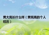 黄大宪长什么样（黄宪高的个人经历）