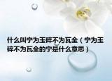 什么叫宁为玉碎不为瓦全（宁为玉碎不为瓦全的宁是什么意思）