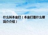 什么叫本垒打（本垒打是什么梗简介介绍）