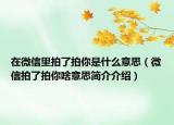 在微信里拍了拍你是什么意思（微信拍了拍你啥意思简介介绍）