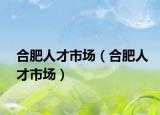 合肥人才市场（合肥人才市场）