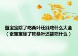 蚕宝宝除了吃桑叶还能吃什么大全（蚕宝宝除了吃桑叶还能吃什么）