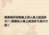 跳蚤离开动物身上或人身上能活多久?（跳蚤在人身上能活多久简介介绍）