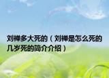 刘禅多大死的（刘禅是怎么死的几岁死的简介介绍）