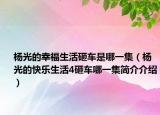 杨光的幸福生活砸车是哪一集（杨光的快乐生活4砸车哪一集简介介绍）