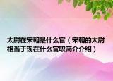 太尉在宋朝是什么官（宋朝的太尉相当于现在什么官职简介介绍）