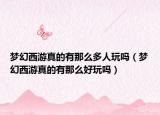 梦幻西游真的有那么多人玩吗（梦幻西游真的有那么好玩吗）
