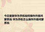 今日更新华为手机如何操作升级鸿蒙系统 华为手机怎么操作升级鸿蒙系统