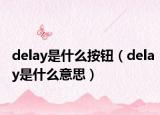 delay是什么按钮（delay是什么意思）