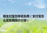 用支付宝怎样买东西（支付宝怎么买东西简介介绍）
