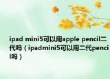 ipad mini5可以用apple pencil二代吗（ipadmini5可以用二代pencil吗）