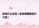 秋肖什么生肖（秋肖有哪些简介介绍）