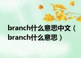 branch什么意思中文（branch什么意思）