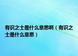 有识之士是什么意思啊（有识之士是什么意思）