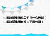 中国路桥集团总公司是什么级别（中国路桥集团有多少下属公司）