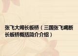 张飞大闹长板桥（三国张飞喝断长板桥概括简介介绍）