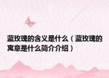 蓝玫瑰的含义是什么（蓝玫瑰的寓意是什么简介介绍）