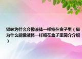 猫咪为什么会像液体一样缩在盒子里（猫为什么能像液体一样缩在盒子里简介介绍）