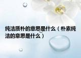 纯洁质朴的意思是什么（朴素纯洁的意思是什么）