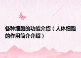 各种细胞的功能介绍（人体细胞的作用简介介绍）