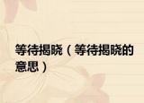 等待揭晓（等待揭晓的意思）