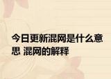 今日更新混网是什么意思 混网的解释
