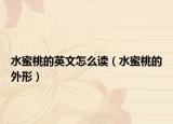 水蜜桃的英文怎么读（水蜜桃的外形）