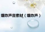爆炸声音素材（爆炸声）