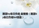 潮湿by春日负暄 盘搜搜（潮湿by春日负暄txt微盘）