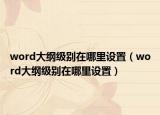 word大纲级别在哪里设置（word大纲级别在哪里设置）